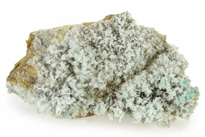 White and Teal Aragonite Formation - Pilhuatepec, Mexico #242661